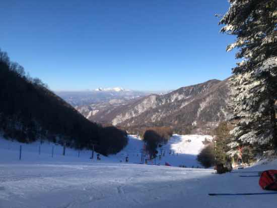 ［ワンダーランドかたしなレビューキャンペーン］エリア最高の雪を求めるなら|丸沼高原スキー場のクチコミ画像