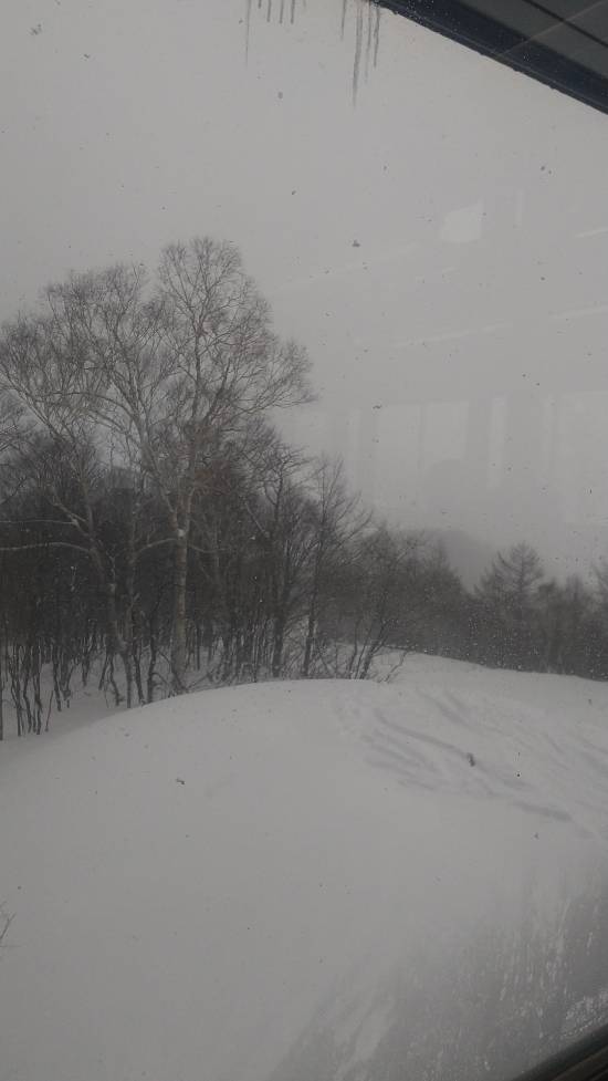 雪質|オグナほたかスキー場のクチコミ画像
