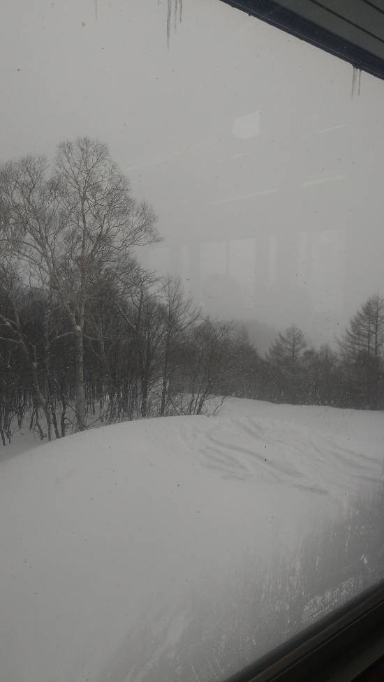 雪質|オグナほたかスキー場のクチコミ画像2