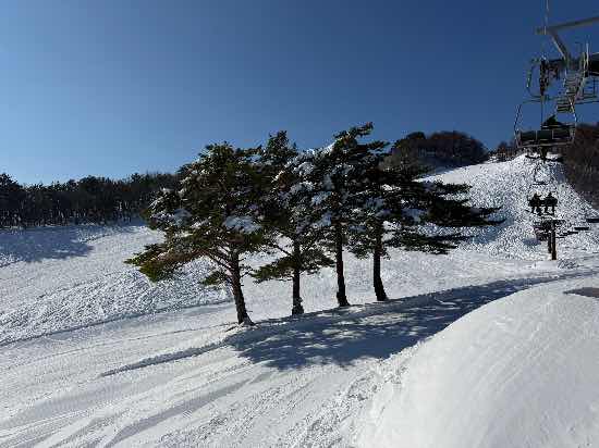スカイバレイスキー場のフォトギャラリー1