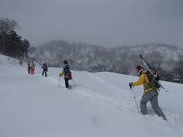 ワンダーランドかたしなレビューキャンペーン