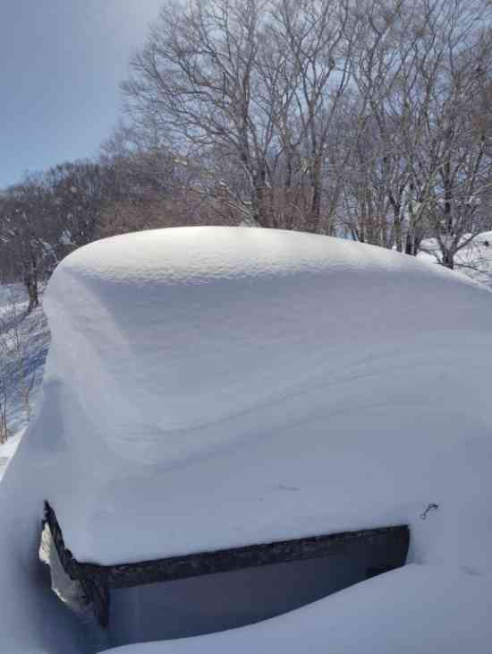 連休中日|野沢温泉スキー場のクチコミ画像