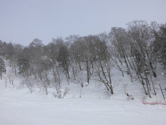 おおむね好天に恵まれた|めいほうスキー場のクチコミ画像