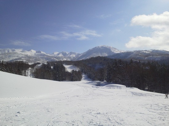 パウダー天国|湯殿山スキー場のクチコミ画像