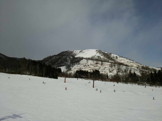 白馬でも雪不足のスキー場が多い中、ほぼ全面オープン！|のクチコミ画像