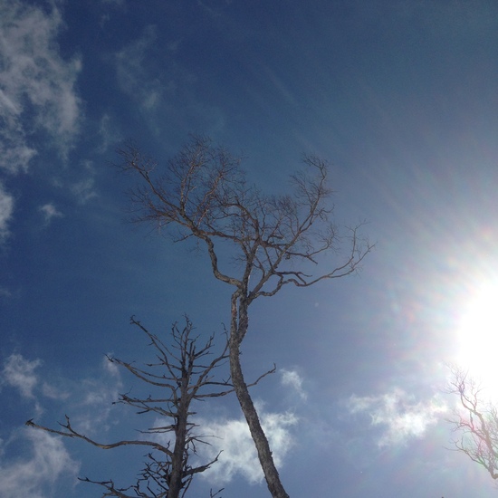 空いていました|信州松本 野麦峠スキー場のクチコミ画像
