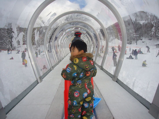 初雪そり|グランスノー奥伊吹（旧名称 奥伊吹スキー場）のクチコミ画像1