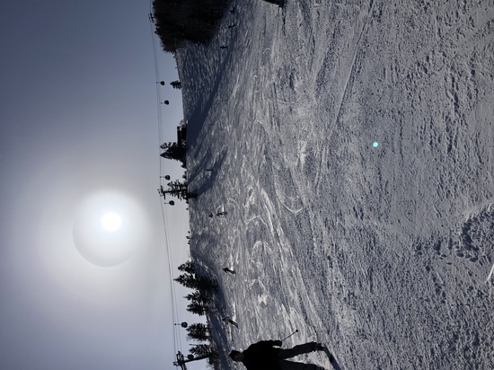 17年振りの焼額山|志賀高原 焼額山スキー場のクチコミ画像