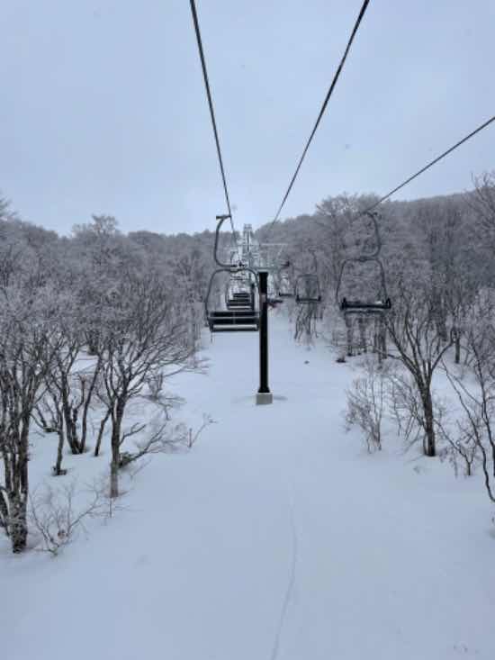 ニャルツチェア！|のクチコミ画像