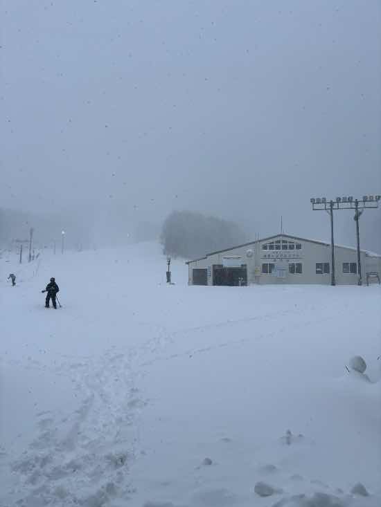 新雪滑りました|星野リゾート ネコマ マウンテン(旧アルツ磐梯＆猫魔スキー場…のクチコミ画像