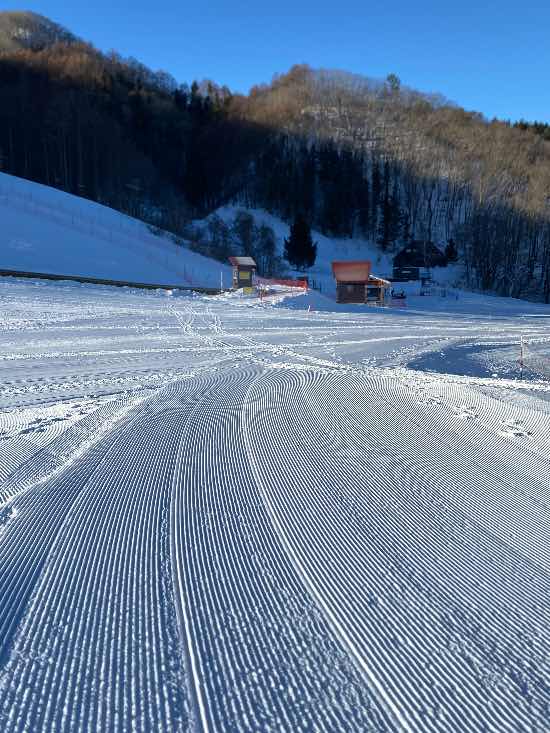 雪質最高！|群馬みなかみほうだいぎスキー場（旧 宝台樹スキー場）のクチコミ画像