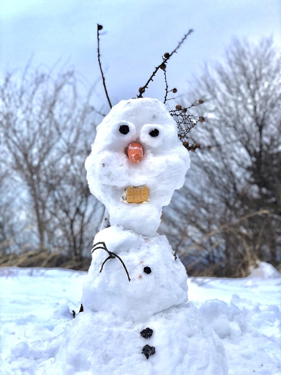 雪遊び|泉ヶ岳スキー場のクチコミ画像
