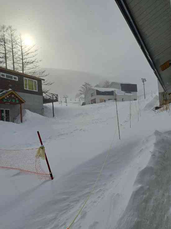 新雪|オグナほたかスキー場のクチコミ画像
