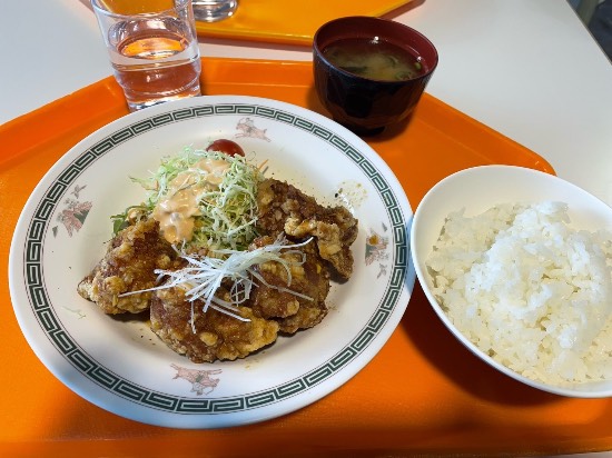 ワンダーランドかたしなレビューキャンペーン|丸沼高原スキー場のクチコミ画像