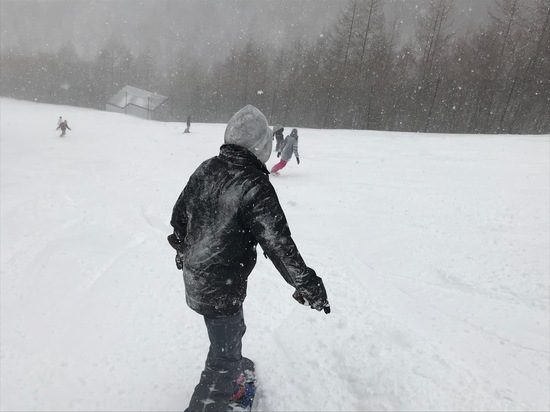 雪質サイコー|川場スキー場のクチコミ画像