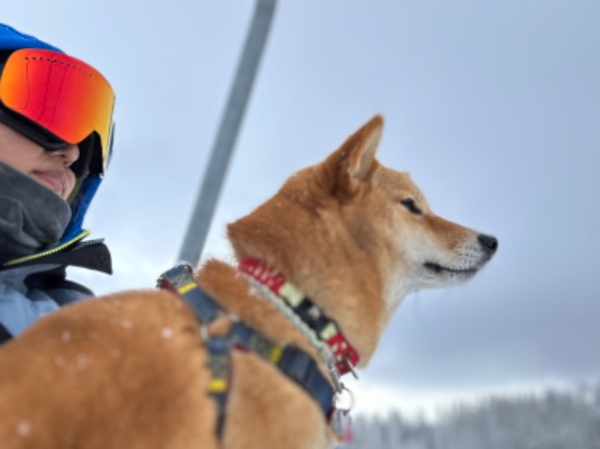 息子と愛犬と一緒に|黒姫高原スノーパークのクチコミ画像