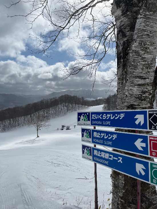 すっかり春|会津高原だいくらスキー場のクチコミ画像