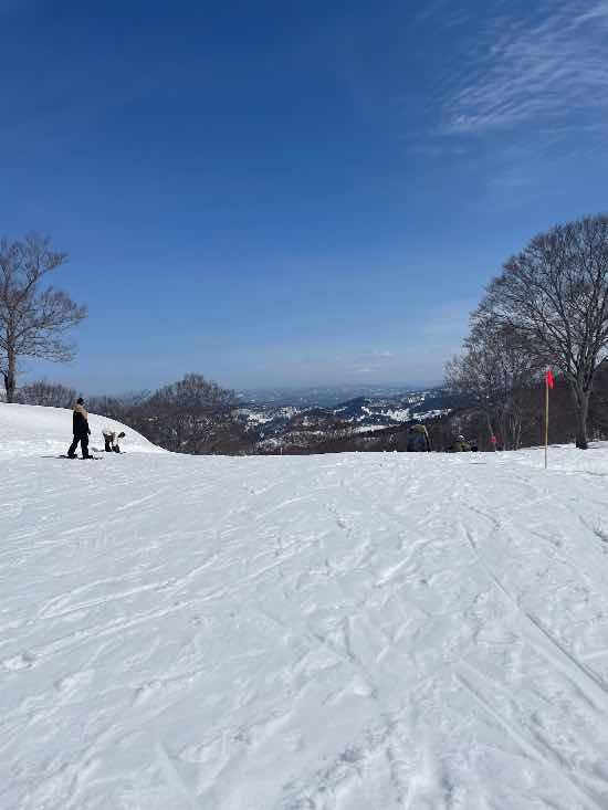 良いお天気|のクチコミ画像