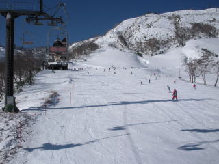雪質良いですね|苗場スキー場のクチコミ画像