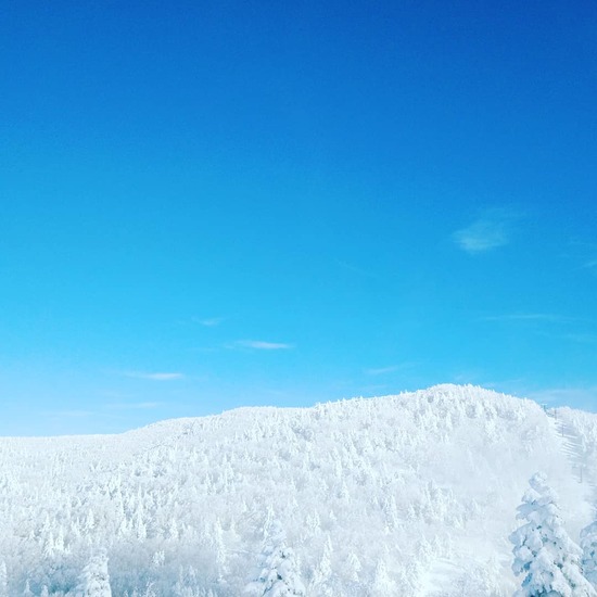 竜王山頂の樹氷群|竜王スキーパークのクチコミ画像