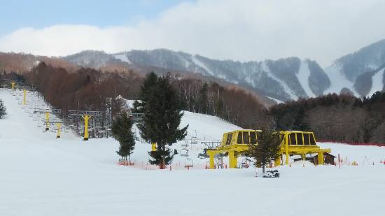 ワンダーランドかたしなキャンペーン