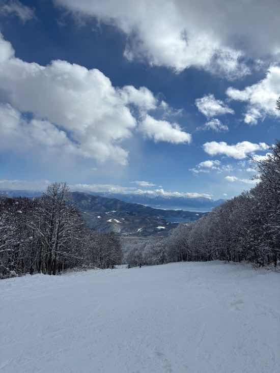 スクールが多かった