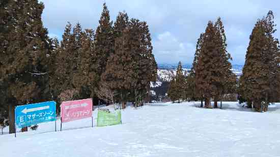 コースレイアウトやリフト配置が少し惜しい。