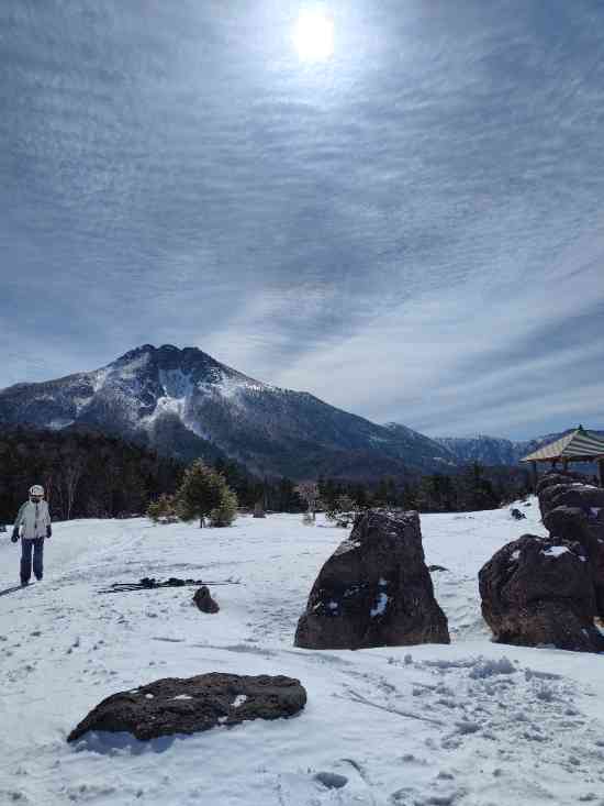 ワンダーランドかたしなレビューキャンペーン