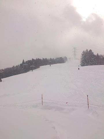 豪雪|かぐらスキー場のクチコミ画像
