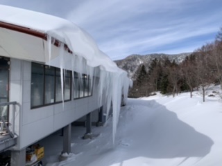 天気最高|丸沼高原スキー場のクチコミ画像1