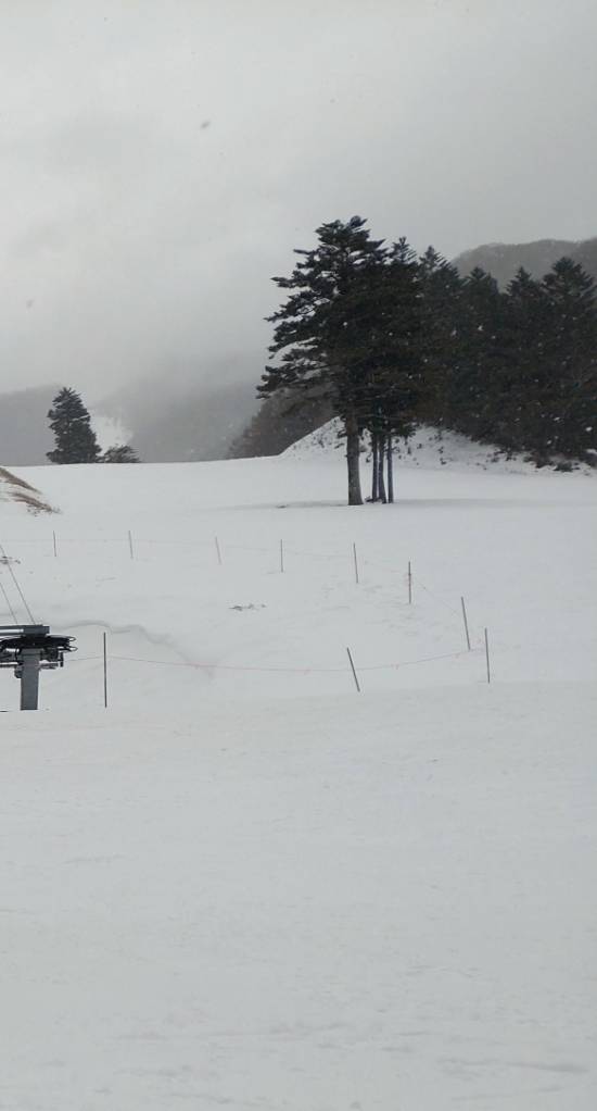 ワンダーランドかたしなレビューキャンペーン|丸沼高原スキー場のクチコミ画像