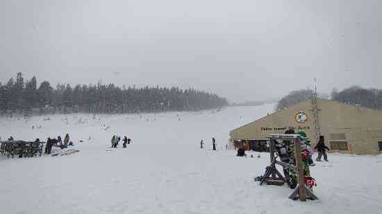 久々に雪に恵まれました|福井和泉スキー場のクチコミ画像1