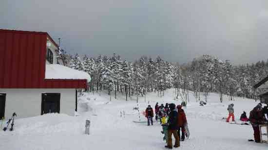 ワンダーランドかたしなレビューキャンペーン|のクチコミ画像