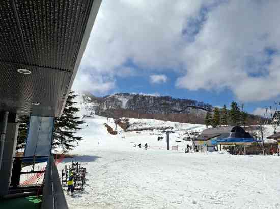 下はギリギリ|のクチコミ画像