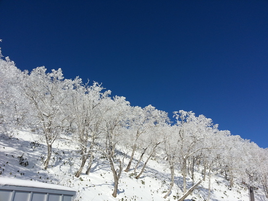 パークも熱い!|星野リゾート トマム スキー場のクチコミ画像2