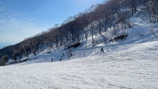 ボーダー率高め|川場スキー場のクチコミ画像3
