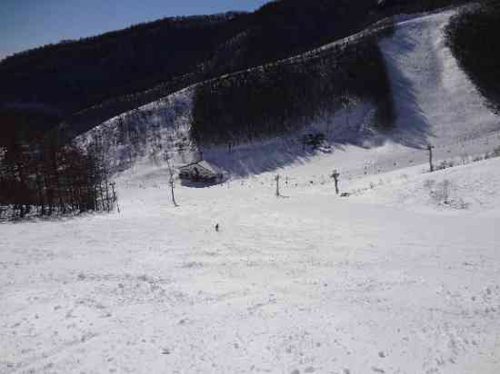 「ワンダーランドかたしなレビューキャンペーン」ここは降雪直後がいい|オグナほたかスキー場のクチコミ画像2