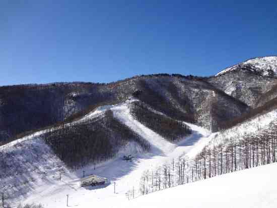 「ワンダーランドかたしなレビューキャンペーン」ここは降雪直後がいい|オグナほたかスキー場のクチコミ画像3