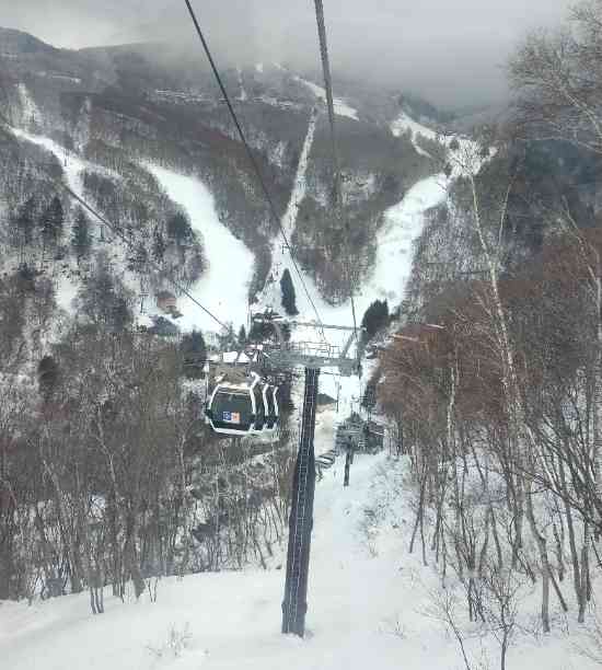 このワイドさは他では味わえない|志賀高原リゾート中央エリア（サンバレー～一の瀬）のクチコミ画像