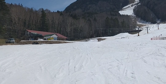 ワンダーランドかたしなレビューキャンペーン