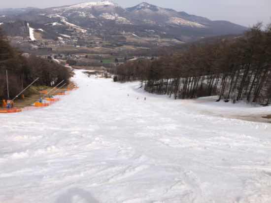 いよいよ|菅平パインビークスキー場のクチコミ画像