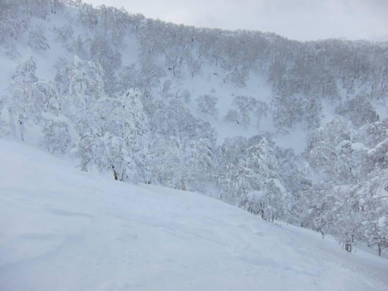 2014/01/20（月）　北海道ルスツリゾートの速報|ルスツリゾートのクチコミ画像