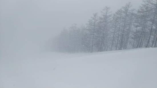 ワンダーランドかたしなレビューキャンペーン|オグナほたかスキー場のクチコミ画像