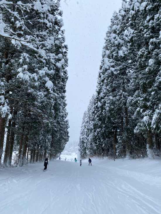 コンディション上がってきた