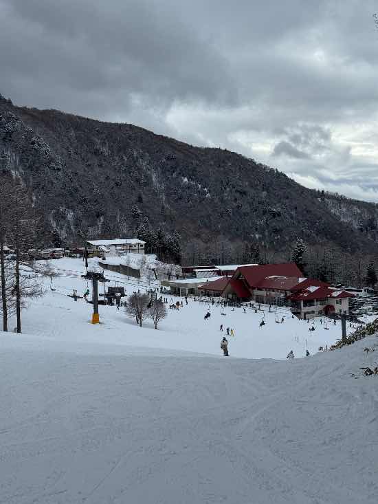 ワンダーランドかたしなレビューキャンペーン|丸沼高原スキー場のクチコミ画像