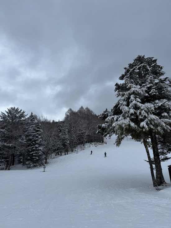 ワンダーランドかたしなレビューキャンペーン|丸沼高原スキー場のクチコミ画像2