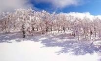 ジャム勝最高＼(^o^)／！！|スキージャム勝山のクチコミ画像