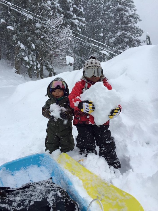 パウダー＆圧雪バーン|奥利根スノーパークのクチコミ画像
