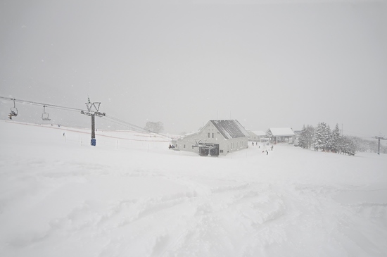 雪質良かったです|岩原スキー場のクチコミ画像