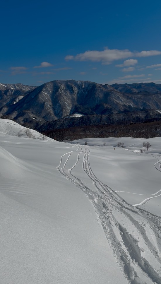 白馬乗鞍 山岳リフト乗りに行きました！|白馬乗鞍温泉スキー場のクチコミ画像2